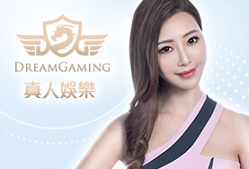 太子娛樂城DG真人